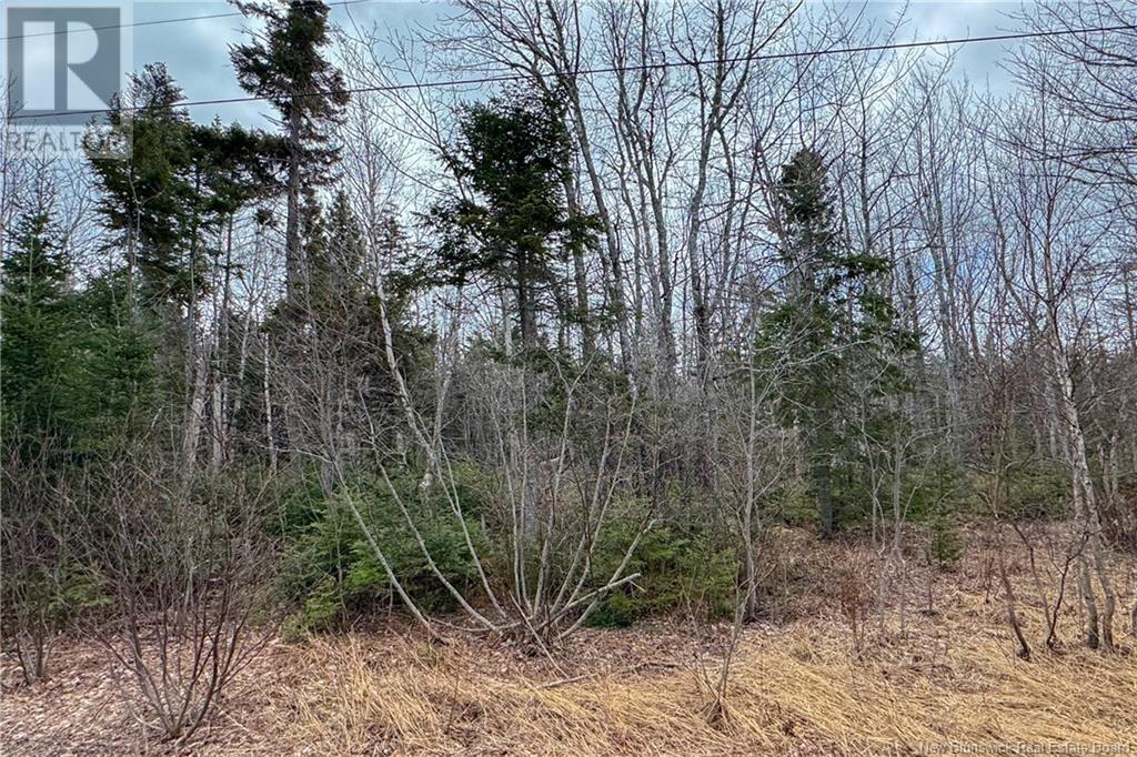Lot 24-4 Route 960, Upper Cape, New Brunswick  E4M 2S4 - Photo 9 - NB115668