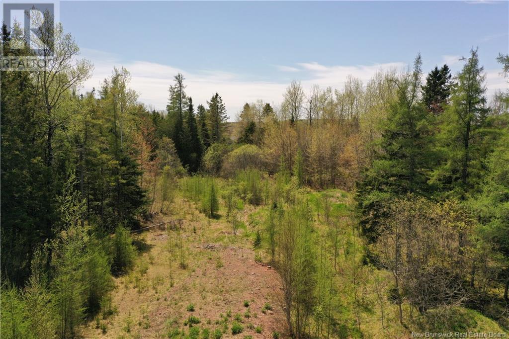 13 Lots Off Executive Drive, Hampton, New Brunswick  E5N 0J5 - Photo 13 - NB115601