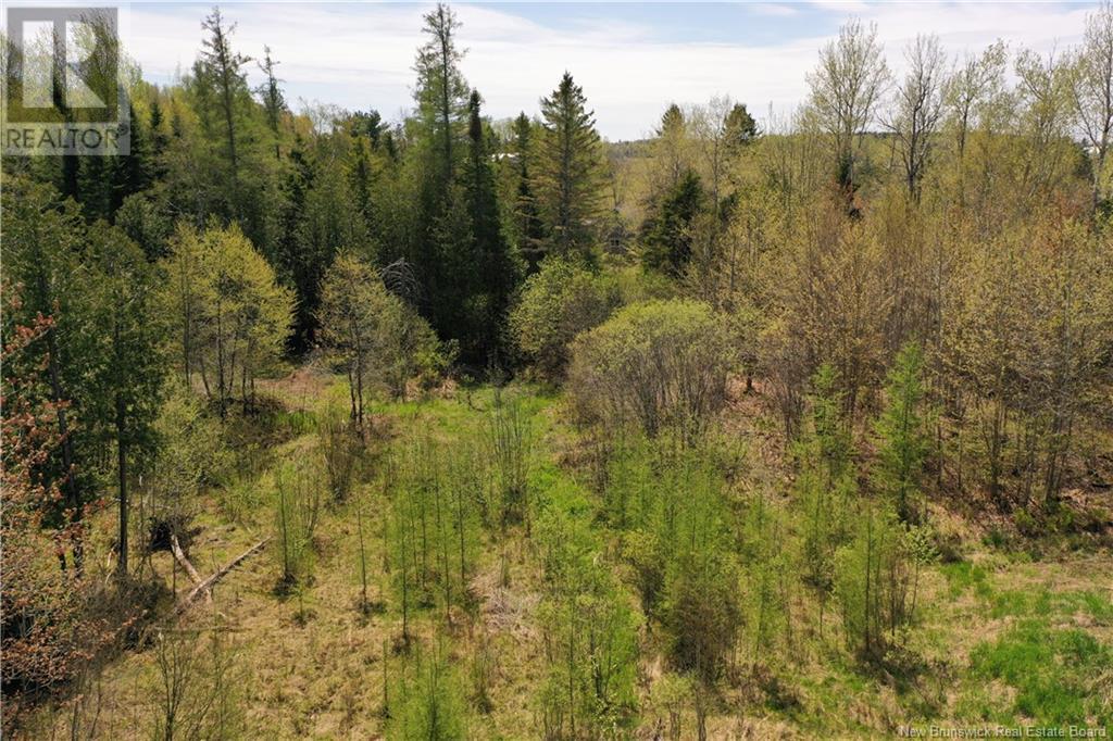 13 Lots Off Executive Drive, Hampton, New Brunswick  E5N 0J5 - Photo 14 - NB115601