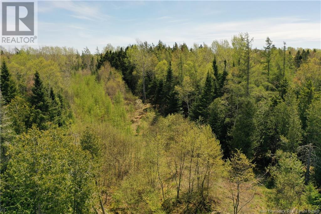 13 Lots Off Executive Drive, Hampton, New Brunswick  E5N 0J5 - Photo 15 - NB115601