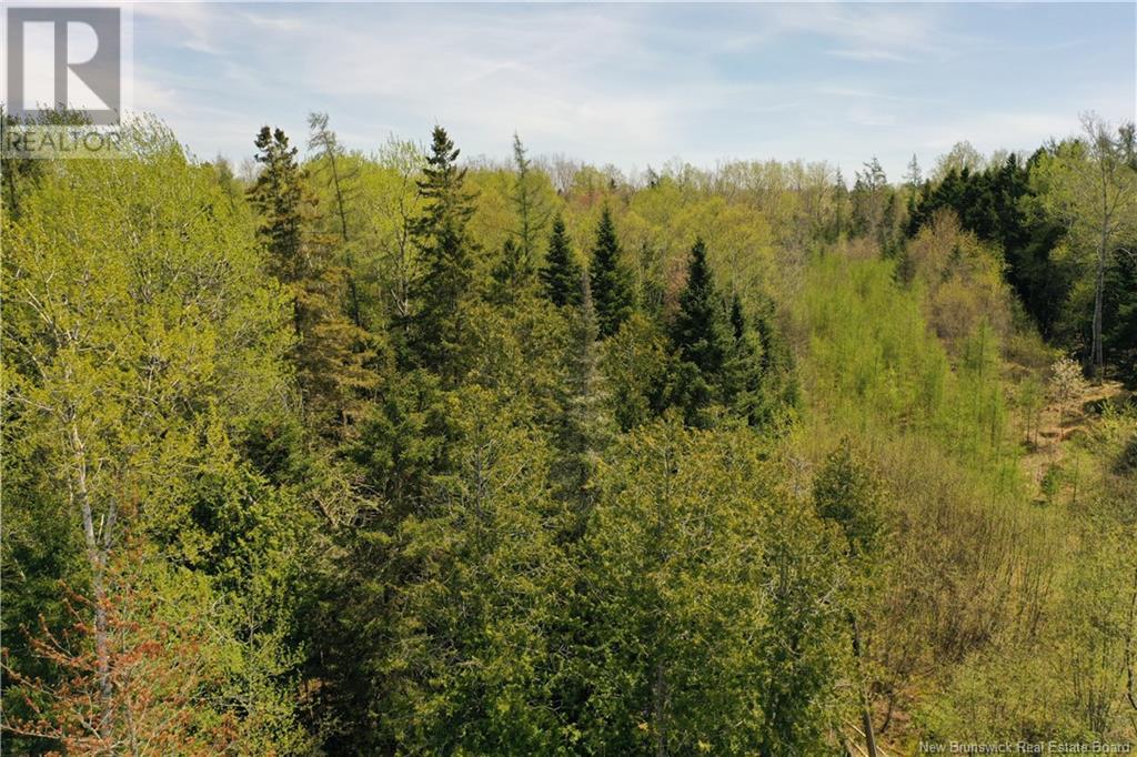 13 Lots Off Executive Drive, Hampton, New Brunswick  E5N 0J5 - Photo 16 - NB115601