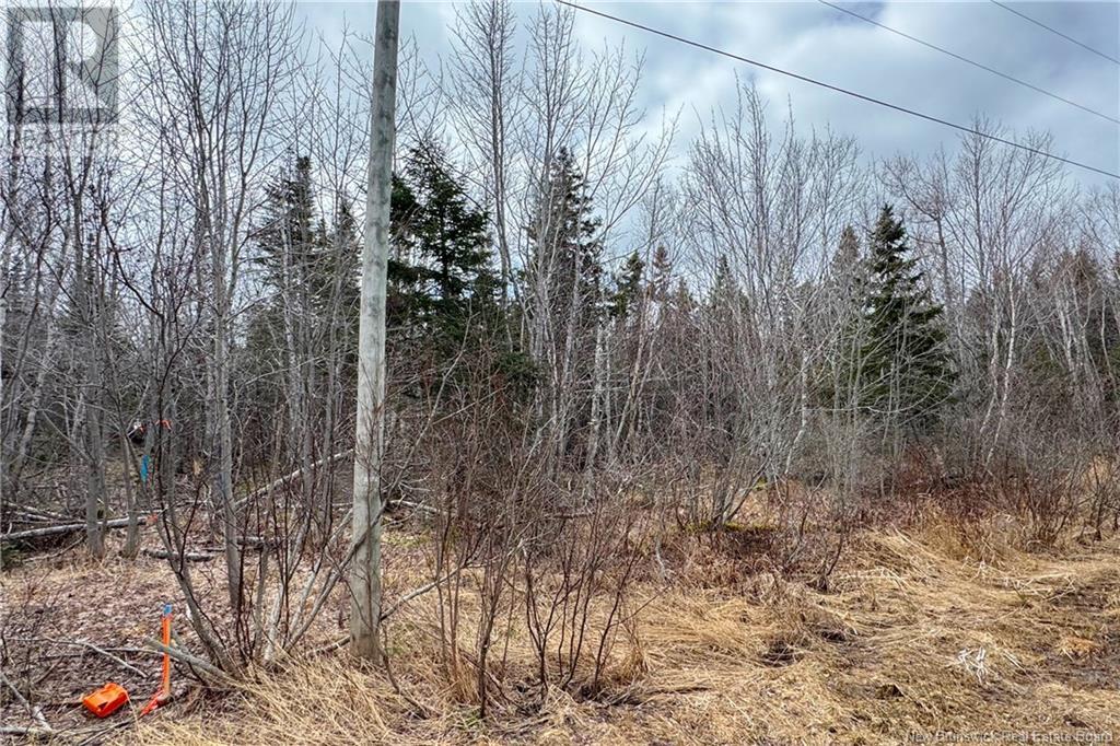 Lot 24-5 Route 960, Upper Cape, New Brunswick  E4M 2S4 - Photo 10 - NB115670