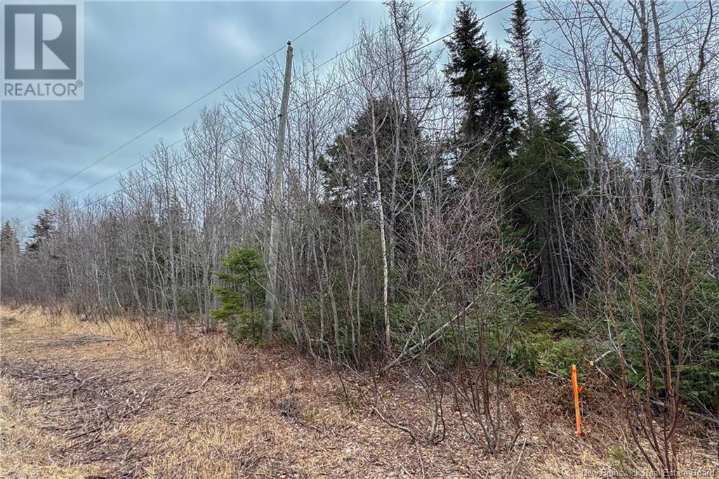 Lot 24-5 Route 960, Upper Cape, New Brunswick  E4M 2S4 - Photo 8 - NB115670
