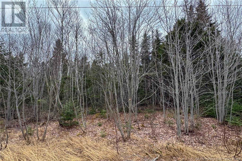Lot 24-5 Route 960, Upper Cape, New Brunswick  E4M 2S4 - Photo 9 - NB115670