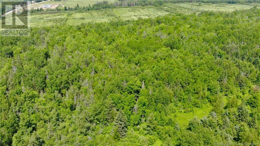 0 Route 115, Irishtown, New Brunswick  E1H 2N1 - Photo 10 - NB115187