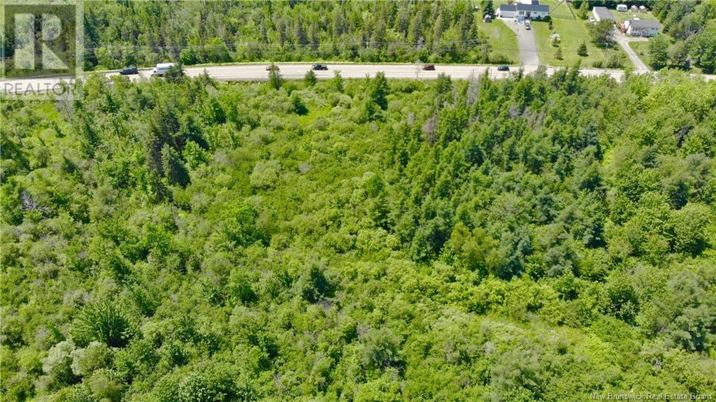 0 Route 115, Irishtown, New Brunswick  E1H 2N1 - Photo 11 - NB115187