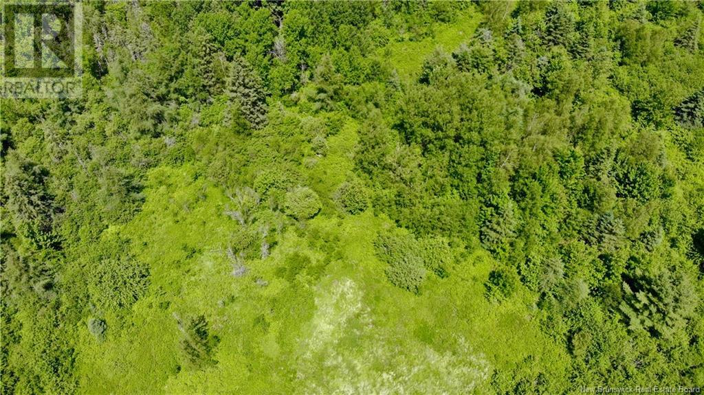 0 Route 115, Irishtown, New Brunswick  E1H 2N1 - Photo 12 - NB115187