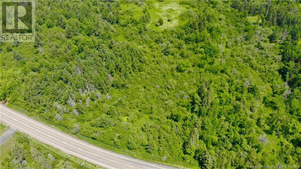 0 Route 115, Irishtown, New Brunswick  E1H 2N1 - Photo 3 - NB115187