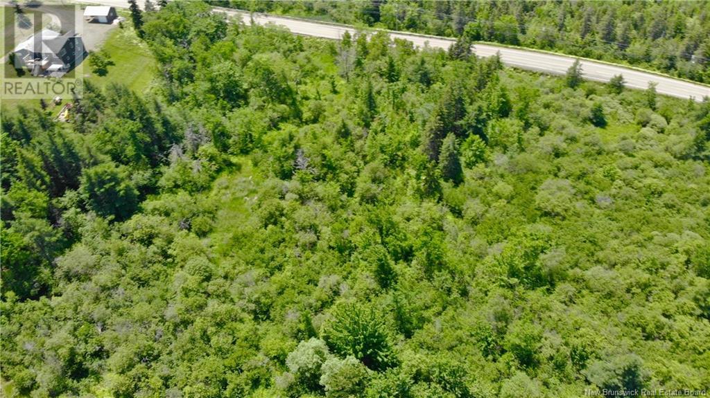 0 Route 115, Irishtown, New Brunswick  E1H 2N1 - Photo 6 - NB115187