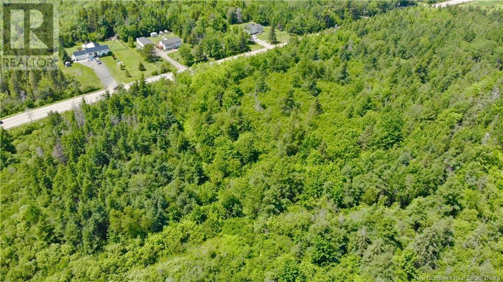 0 Route 115, Irishtown, New Brunswick  E1H 2N1 - Photo 8 - NB115187