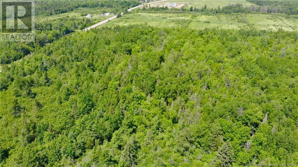 0 Route 115, Irishtown, New Brunswick  E1H 2N1 - Photo 9 - NB115187