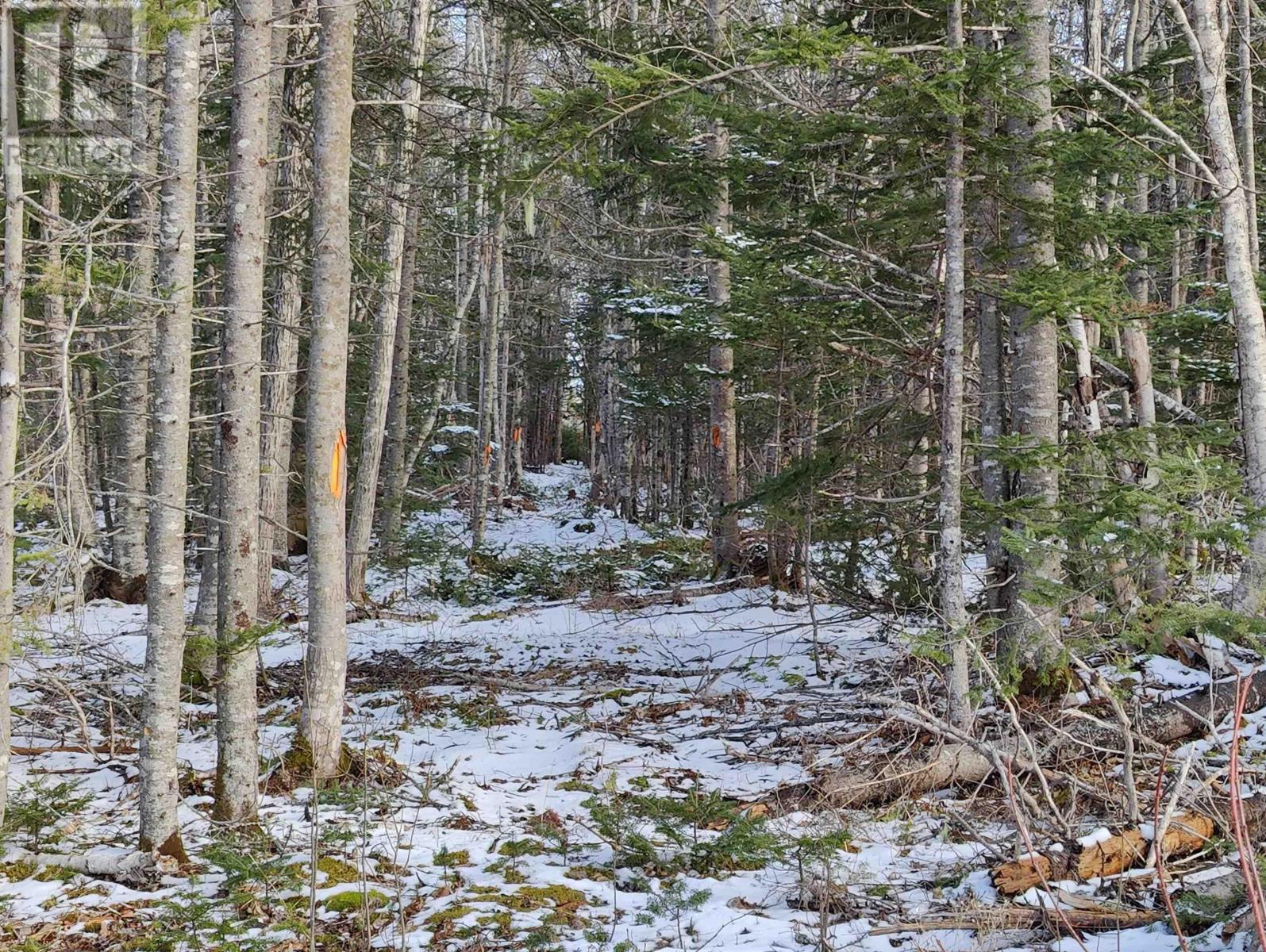 Lot 6 Leitches Creek Rd, Leitches Creek, Nova Scotia  B2A 4A5 - Photo 2 - 202506985
