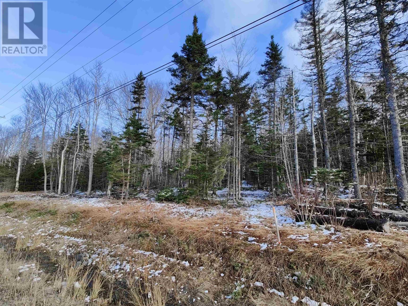 Lot 6 Leitches Creek Rd, Leitches Creek, Nova Scotia  B2A 4A5 - Photo 4 - 202506985