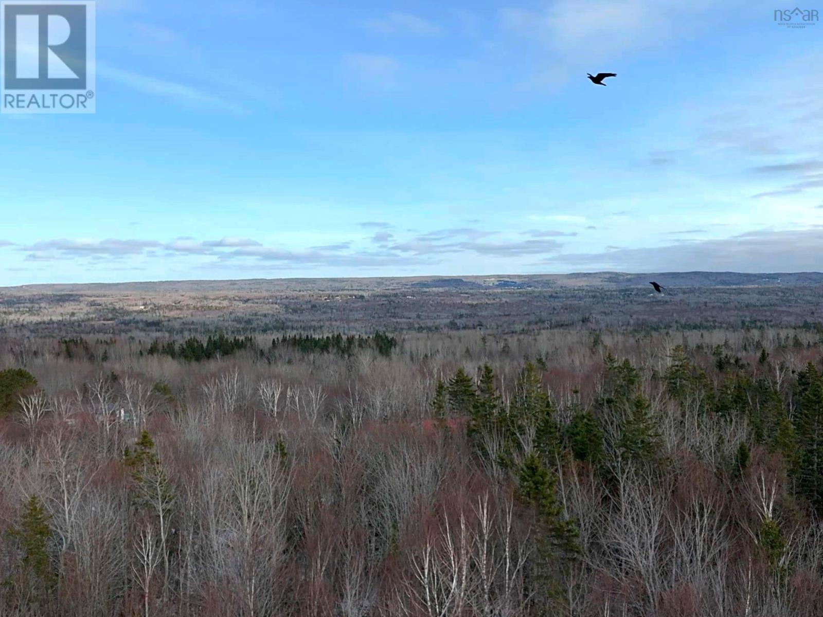 Lot 2 Leitches Creek Rd, Leitches Creek, Nova Scotia  B2A 4A5 - Photo 3 - 202506988