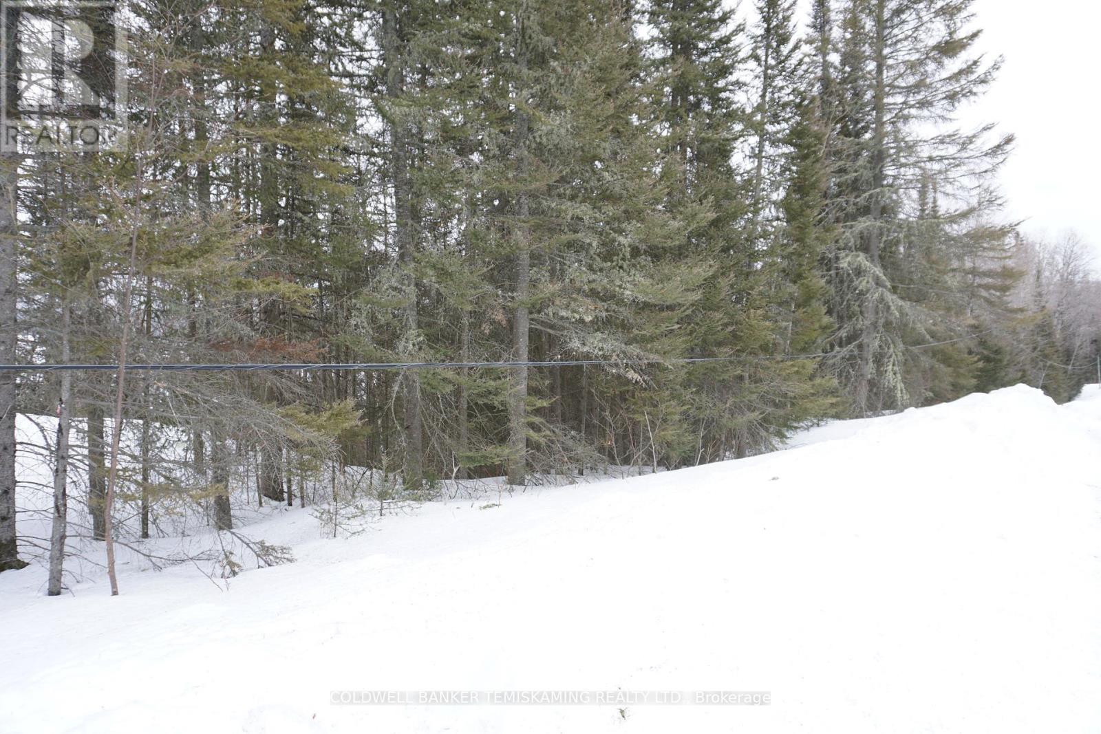 Pcl 25473 Otto Road #1 Road, Kirkland Lake, Ontario  P0J 1H0 - Photo 10 - T12054359