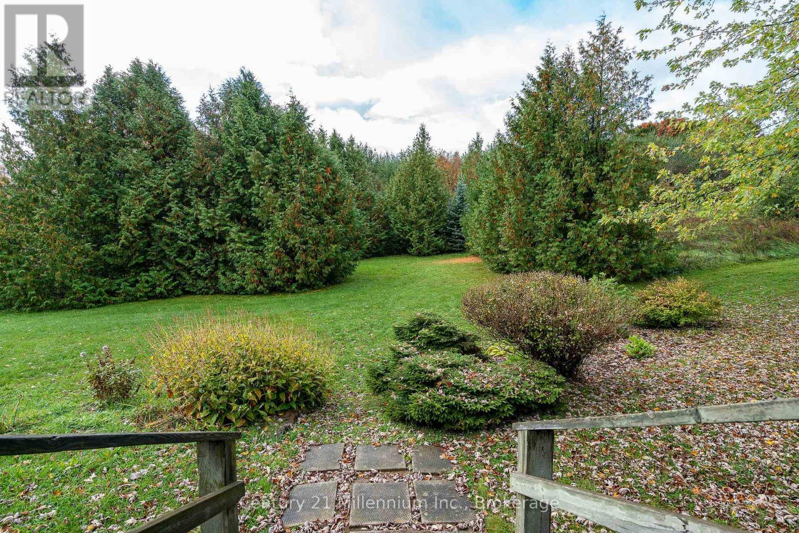 316634 3rd Line, Grey Highlands, Ontario  N4L 1W7 - Photo 10 - X12065600