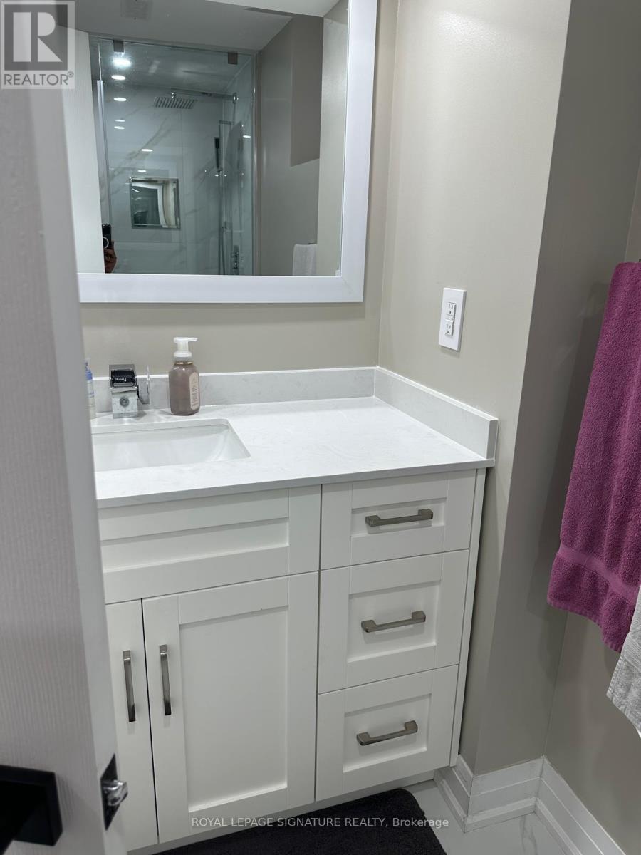 Lower - 101 Botavia Downs Drive, Brampton, Ontario  L7A 3P6 - Photo 8 - W12065582