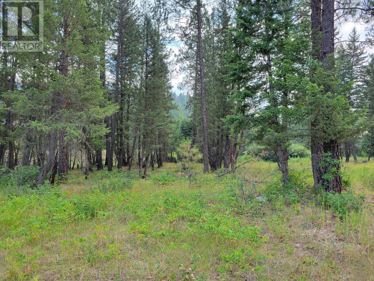 Lot B Grasmere-Dorr Road, Grasmere, British Columbia  V0B 1R0 - Photo 8 - 10342077