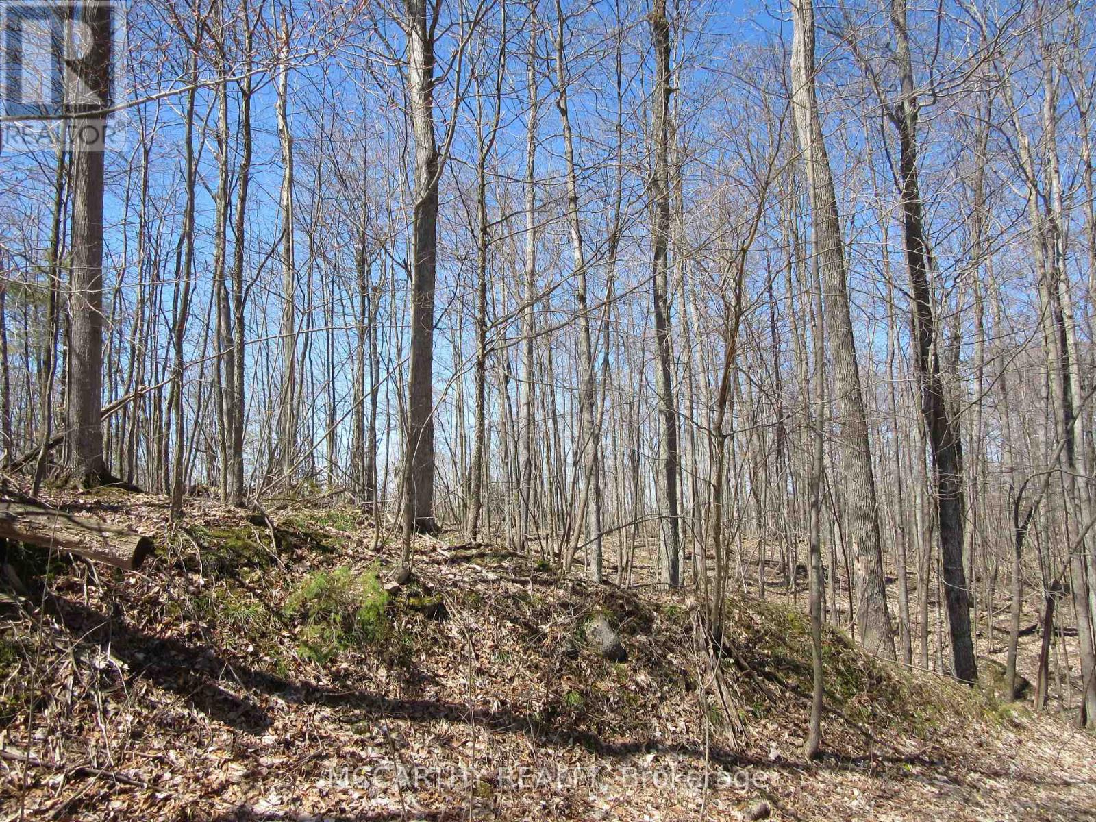Lot  9 Pt Lt 25, Con Rd 8, West Grey, Ontario  N0C 1H0 - Photo 14 - X12059749