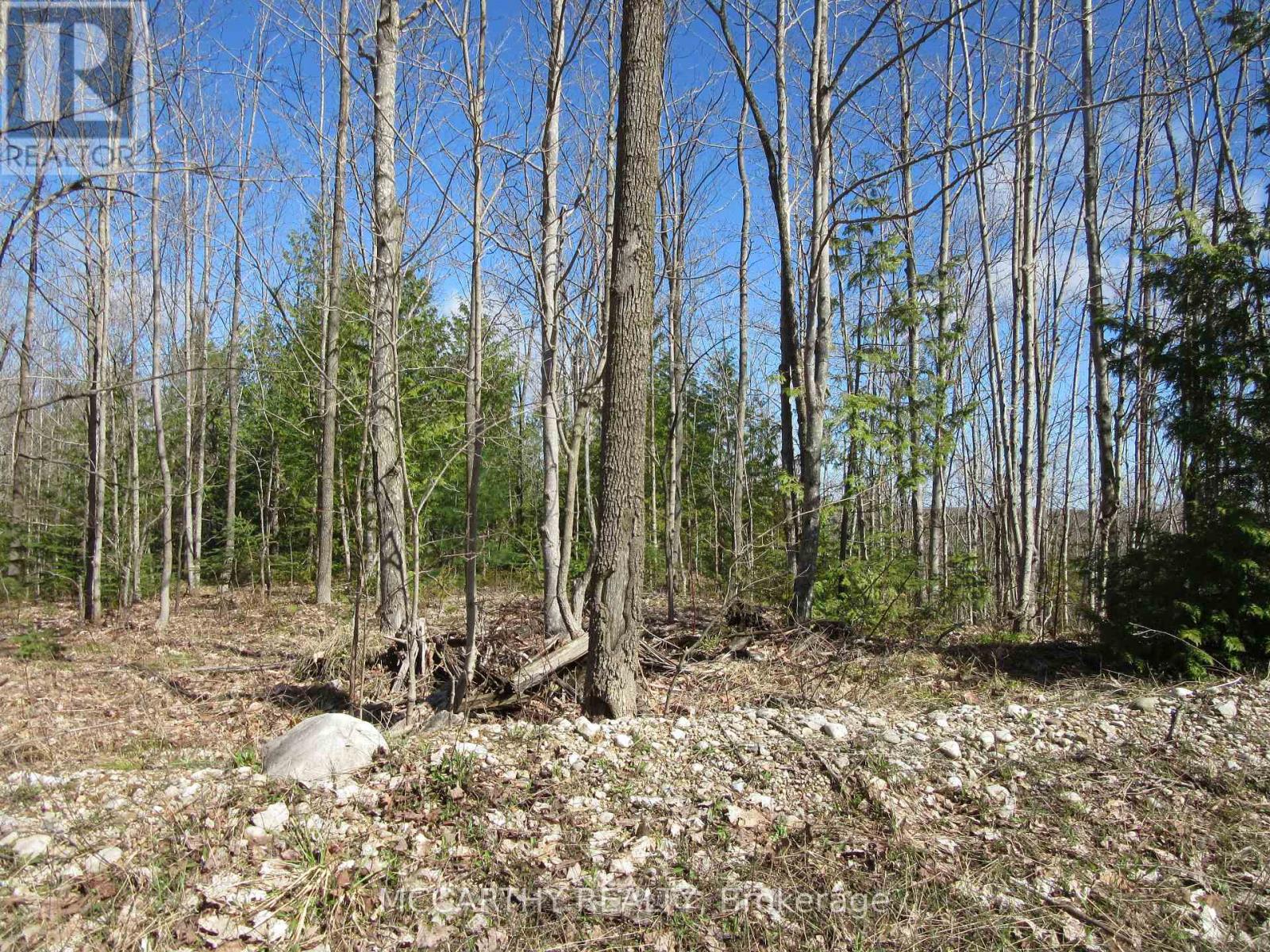 Lot  9 Pt Lt 25, Con Rd 8, West Grey, Ontario  N0C 1H0 - Photo 3 - X12059749