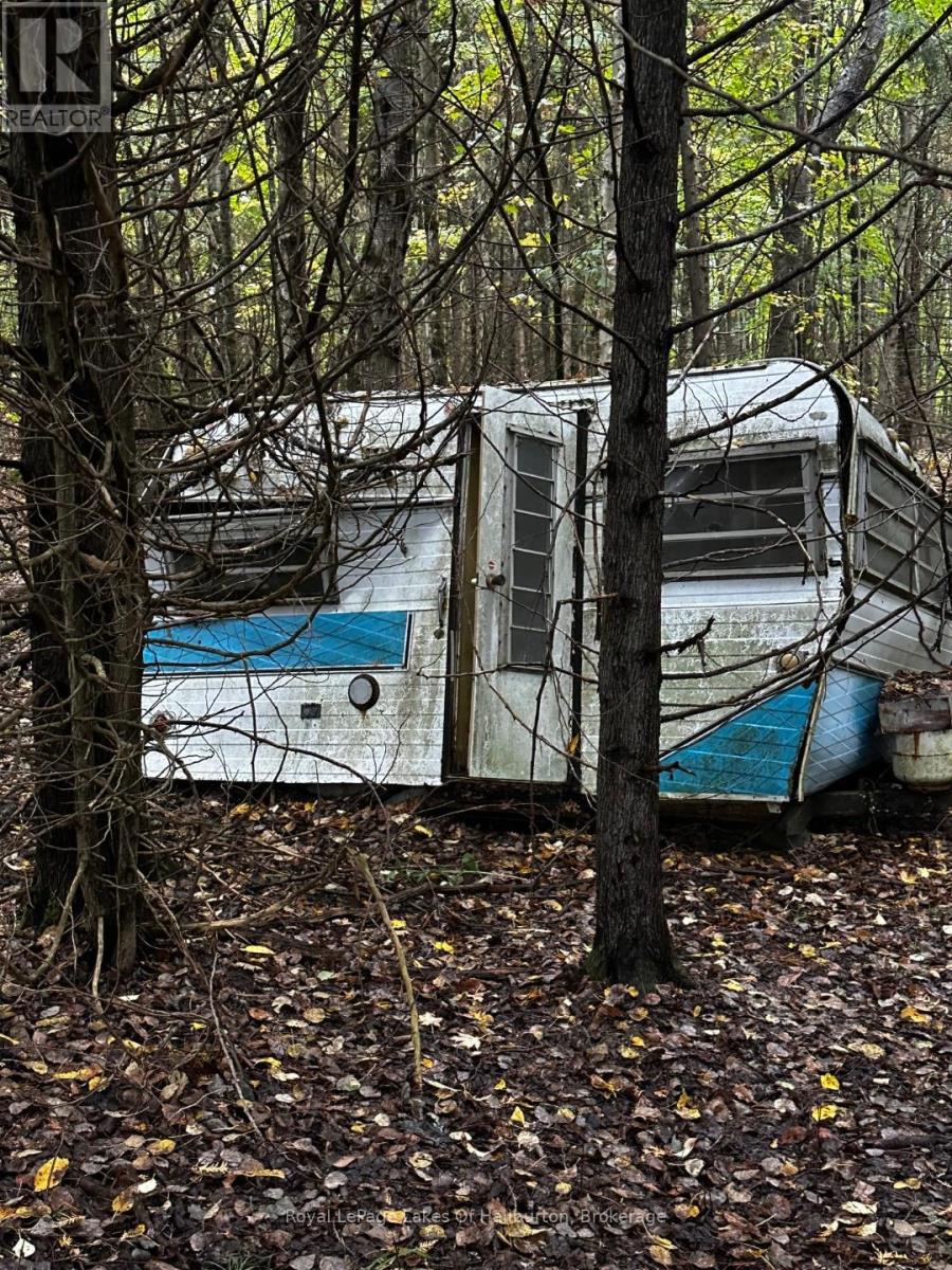 Lot 67 Chelsea Lane, Algonquin Highlands, Ontario  K0M 1S0 - Photo 10 - X12066054