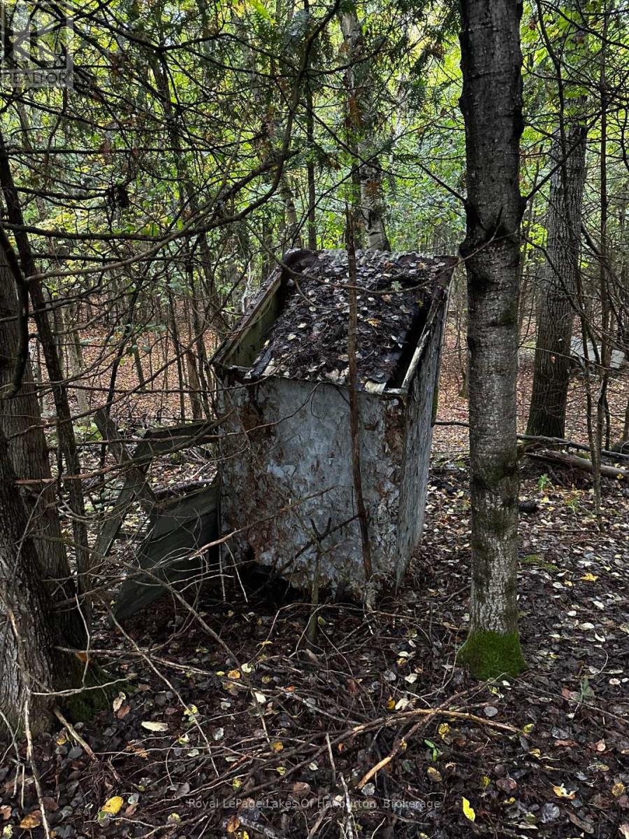 Lot 67 Chelsea Lane, Algonquin Highlands, Ontario  K0M 1S0 - Photo 11 - X12066054