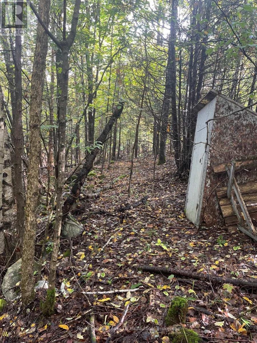 Lot 67 Chelsea Lane, Algonquin Highlands, Ontario  K0M 1S0 - Photo 13 - X12066054