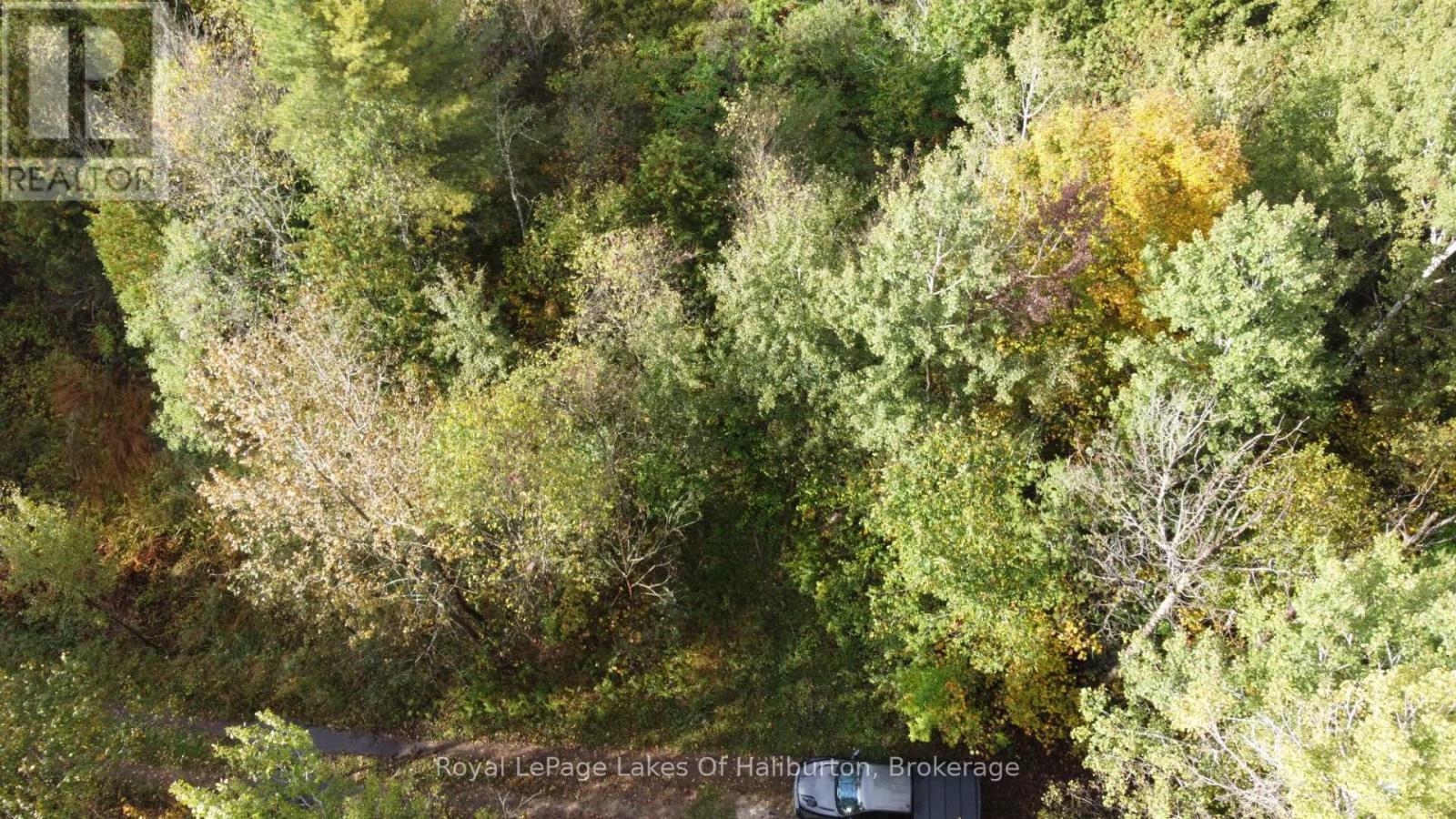 Lot 67 Chelsea Lane, Algonquin Highlands, Ontario  K0M 1S0 - Photo 17 - X12066054