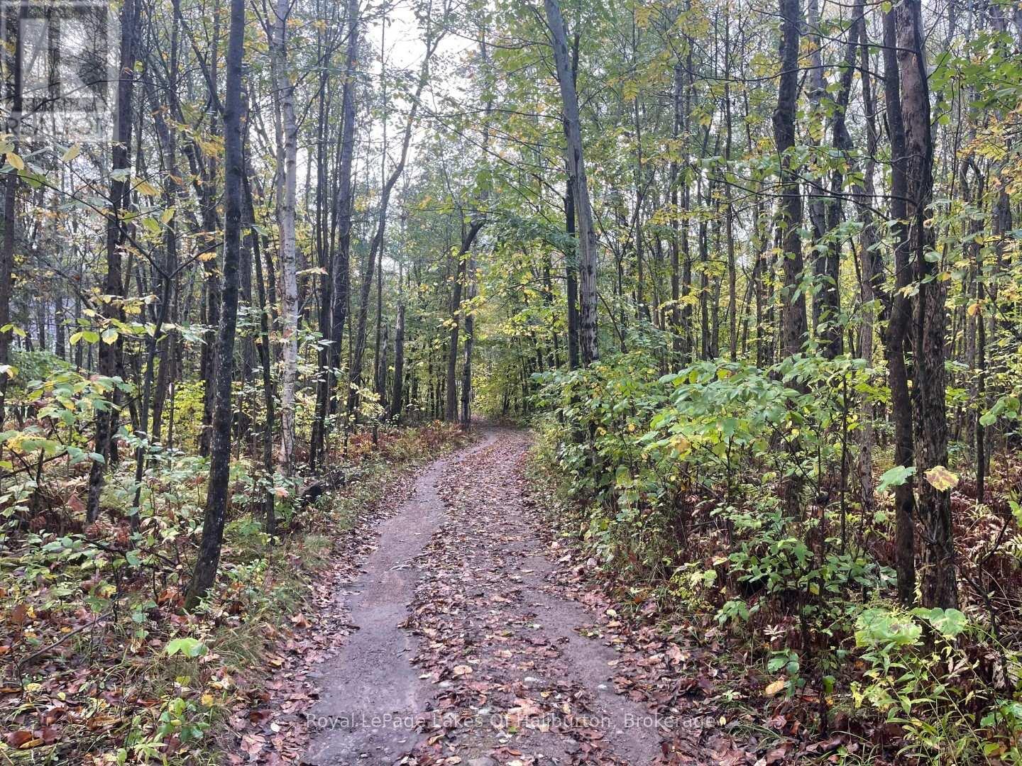 Lot 67 Chelsea Lane, Algonquin Highlands, Ontario  K0M 1S0 - Photo 21 - X12066054