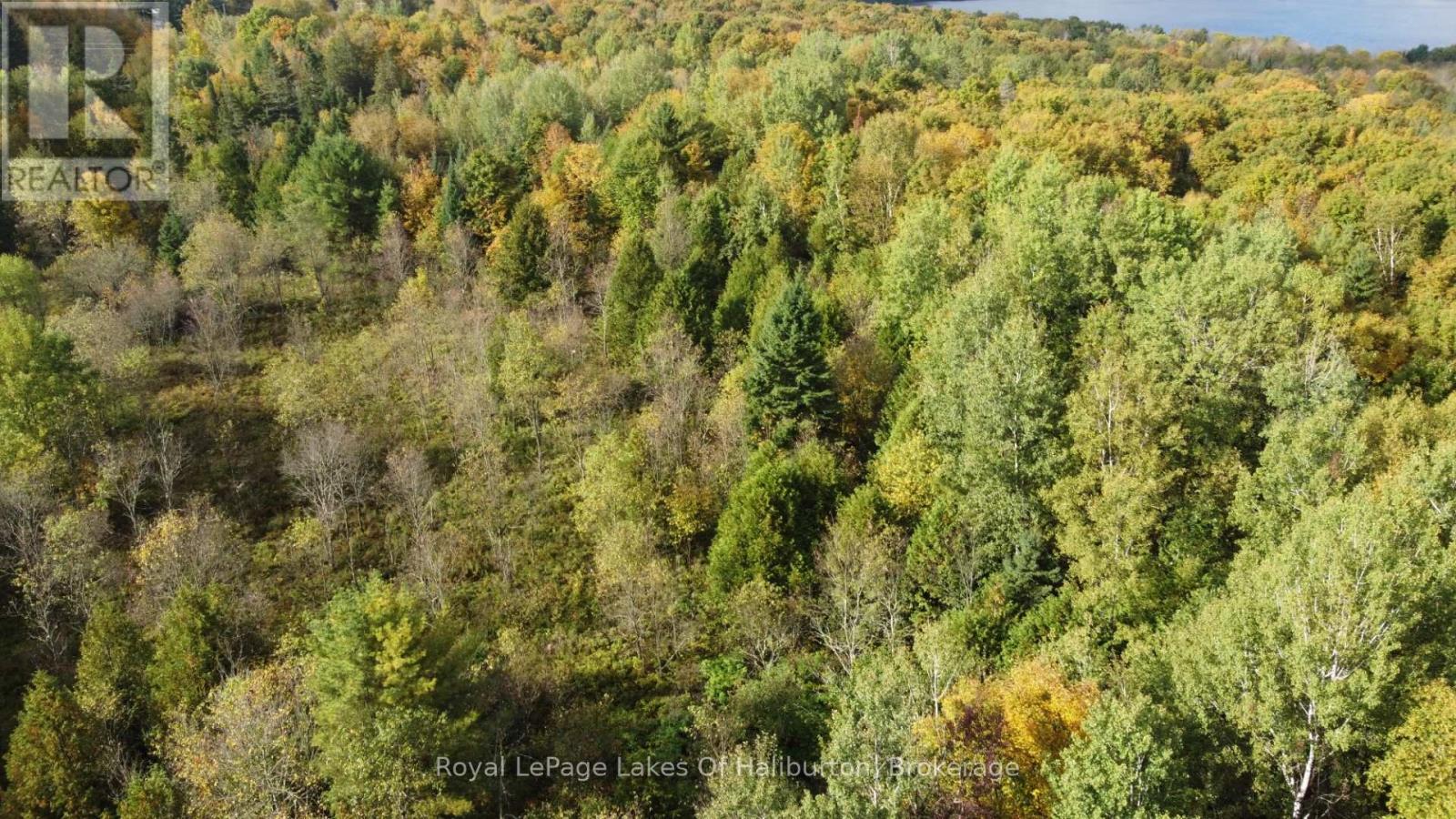 Lot 67 Chelsea Lane, Algonquin Highlands, Ontario  K0M 1S0 - Photo 5 - X12066054