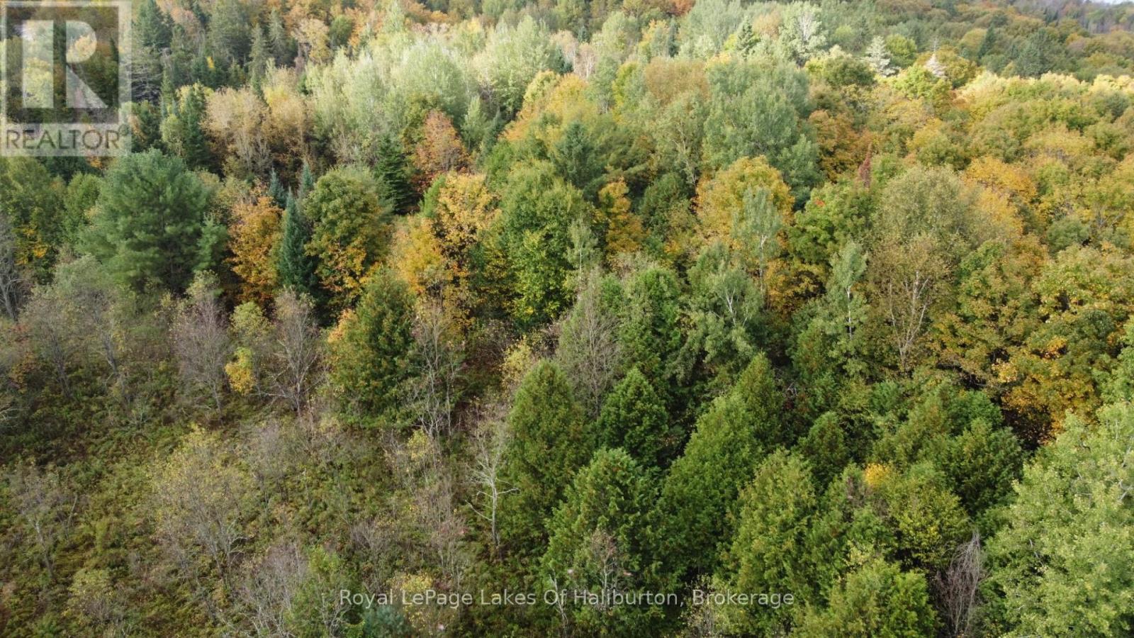 Lot 67 Chelsea Lane, Algonquin Highlands, Ontario  K0M 1S0 - Photo 7 - X12066054