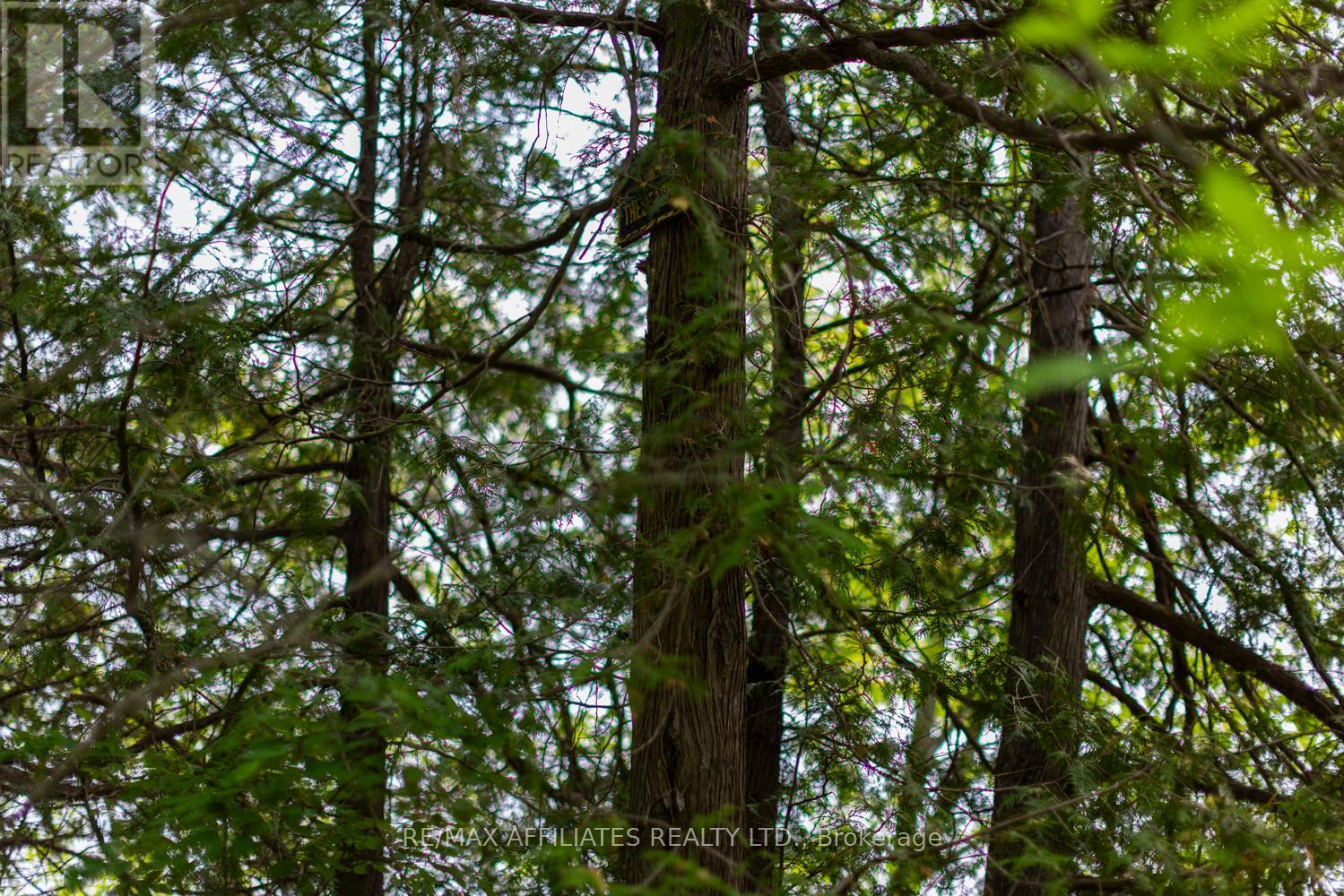 Pt Lt 1 Con 11 Road, Drummond/north Elmsley, Ontario  K0G 1A0 - Photo 7 - X12065997