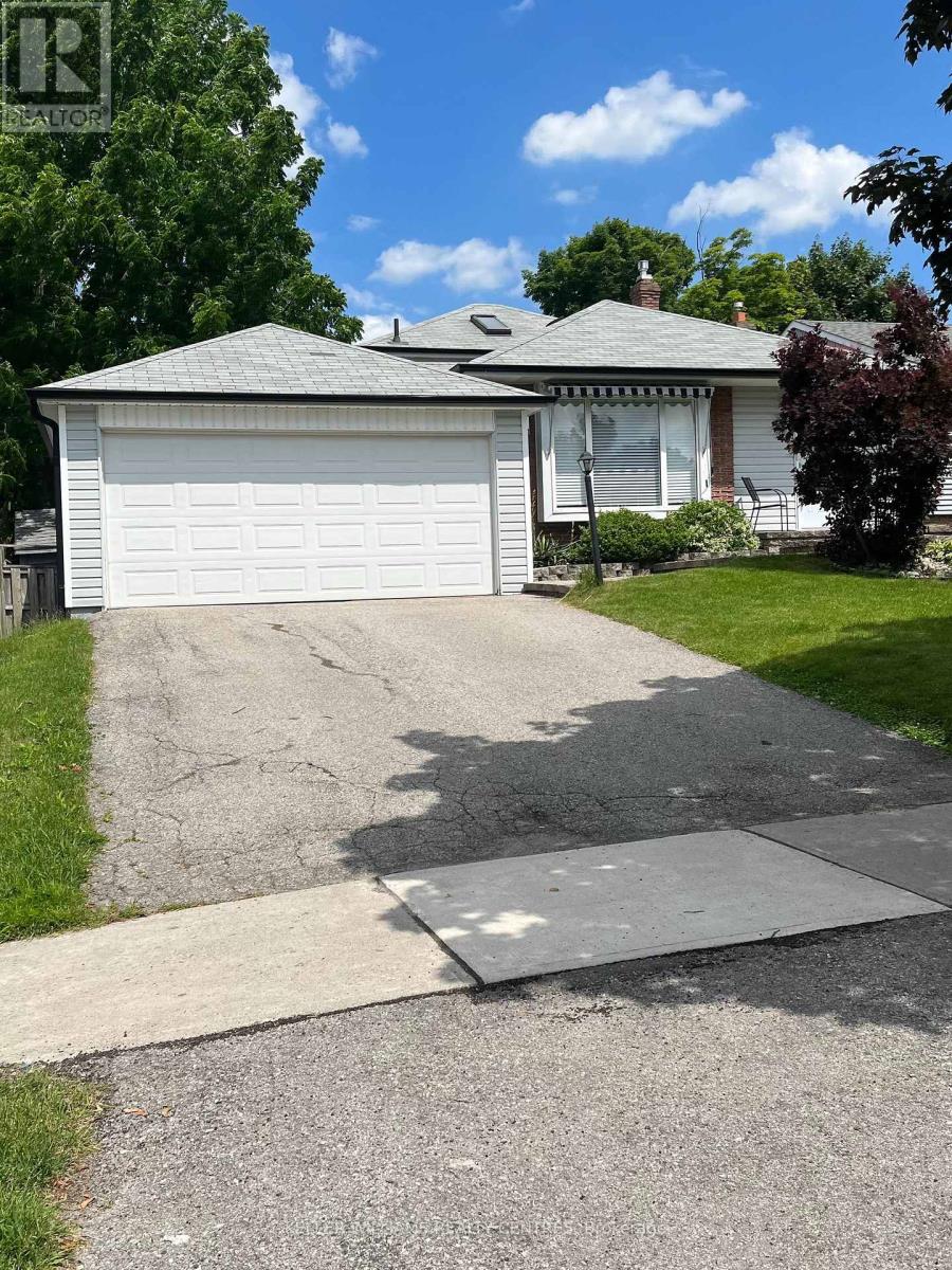 Bsmt - 19 Holland River Boulevard, East Gwillimbury, Ontario  L9N 1C5 - Photo 1 - N12065990