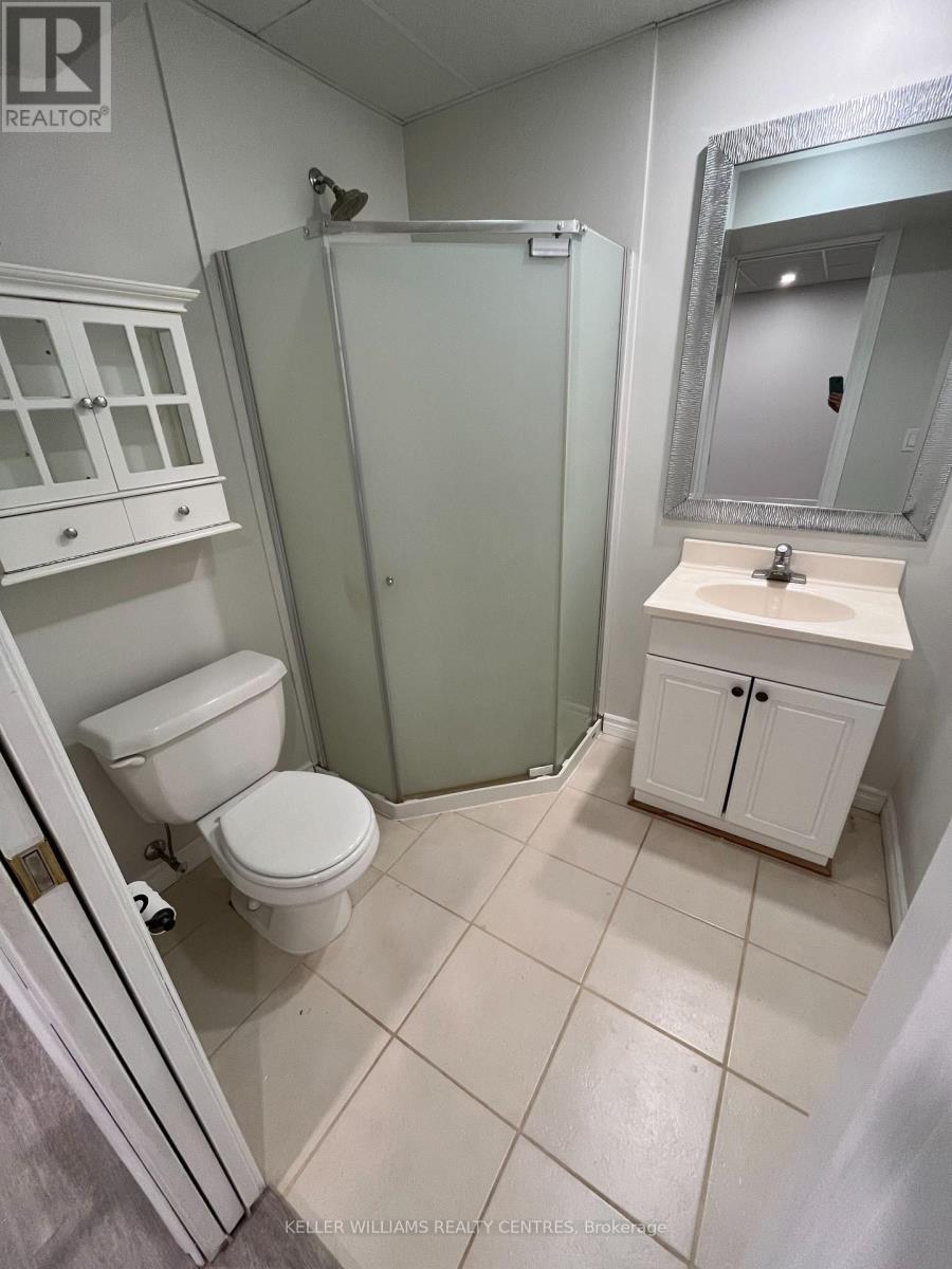 Bsmt - 19 Holland River Boulevard, East Gwillimbury, Ontario  L9N 1C5 - Photo 3 - N12065990