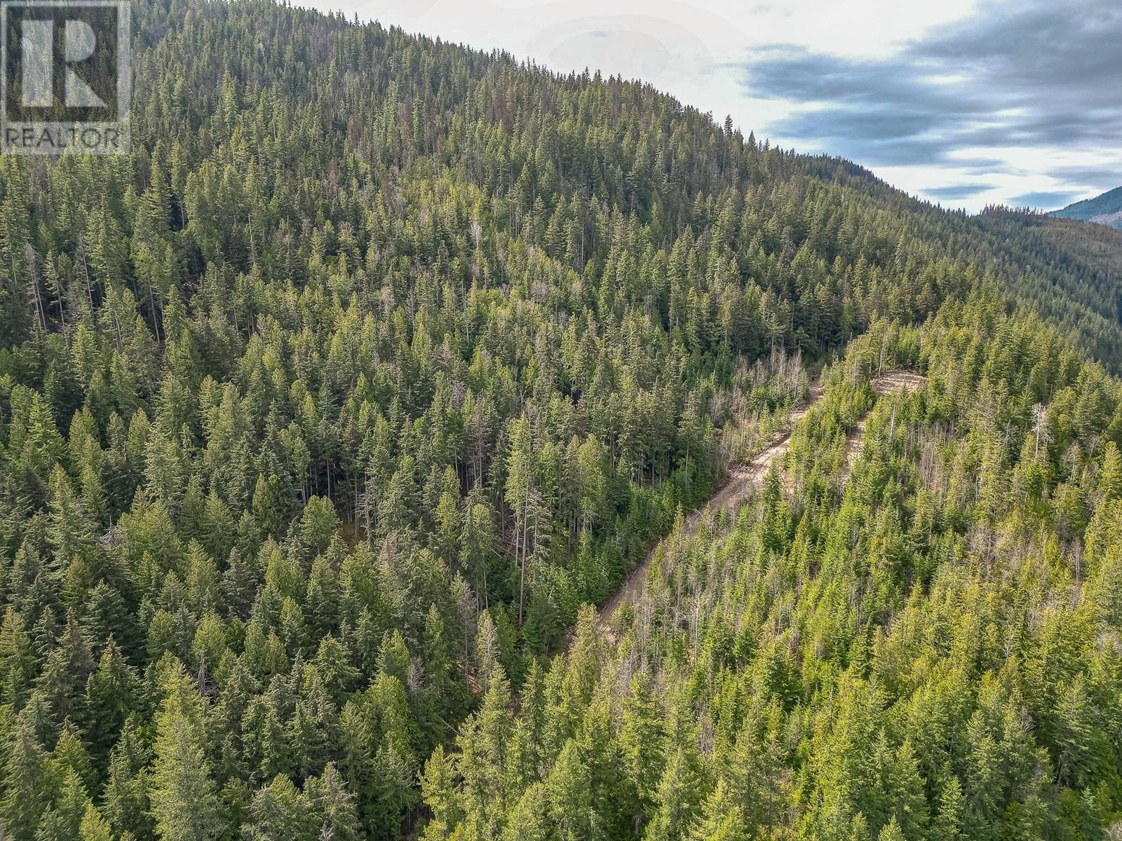 Parcel A Trans Canada Highway, Sicamous, British Columbia  V0E 2V0 - Photo 6 - 10341829