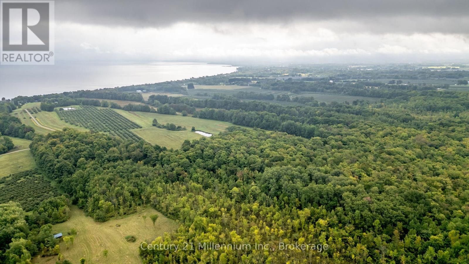 265716 25th Side Road, Meaford, Ontario  N4L 1W5 - Photo 41 - X11967384