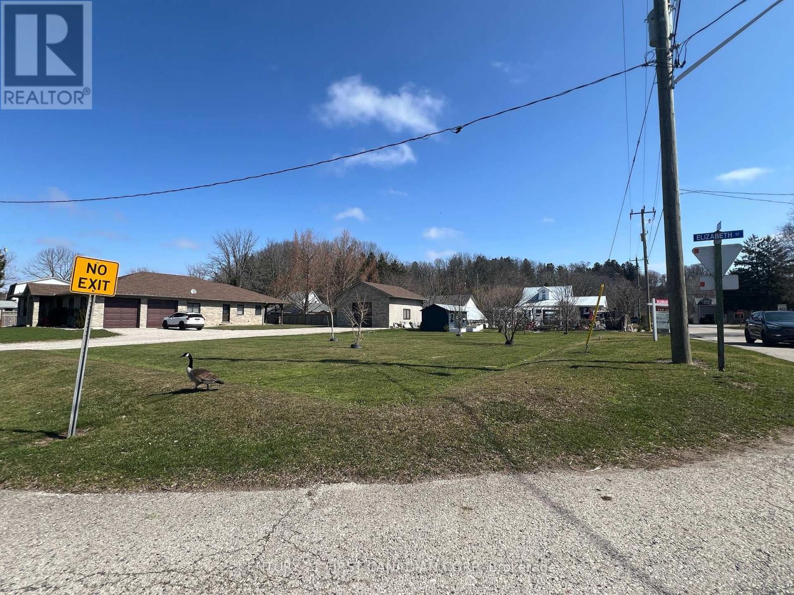 337 Elizabeth Street, Central Elgin, Ontario  N5L 1B3 - Photo 5 - X12066514