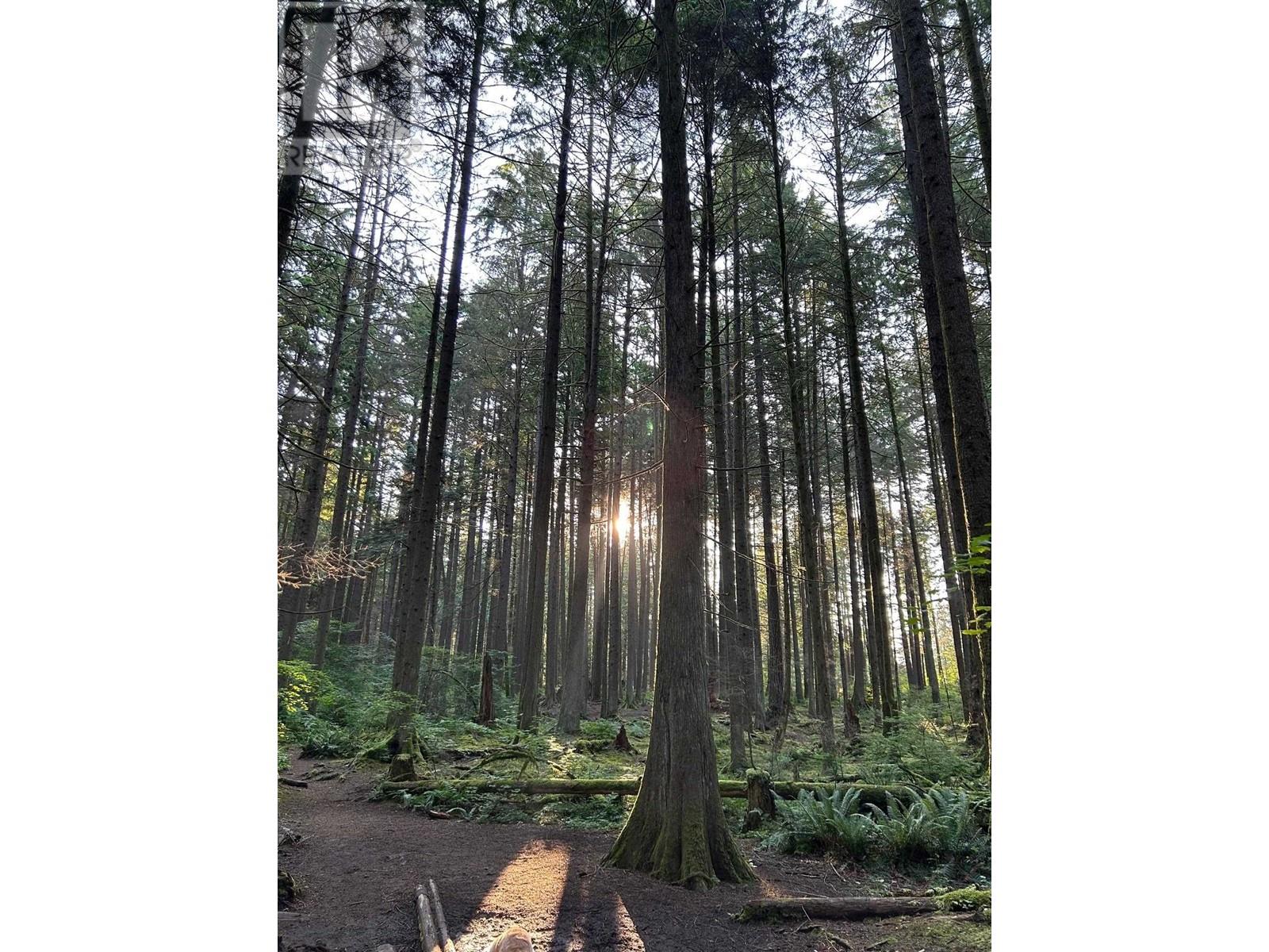 1041 Heritage Boulevard, North Vancouver, British Columbia  V7J 3G7 - Photo 39 - R2984304