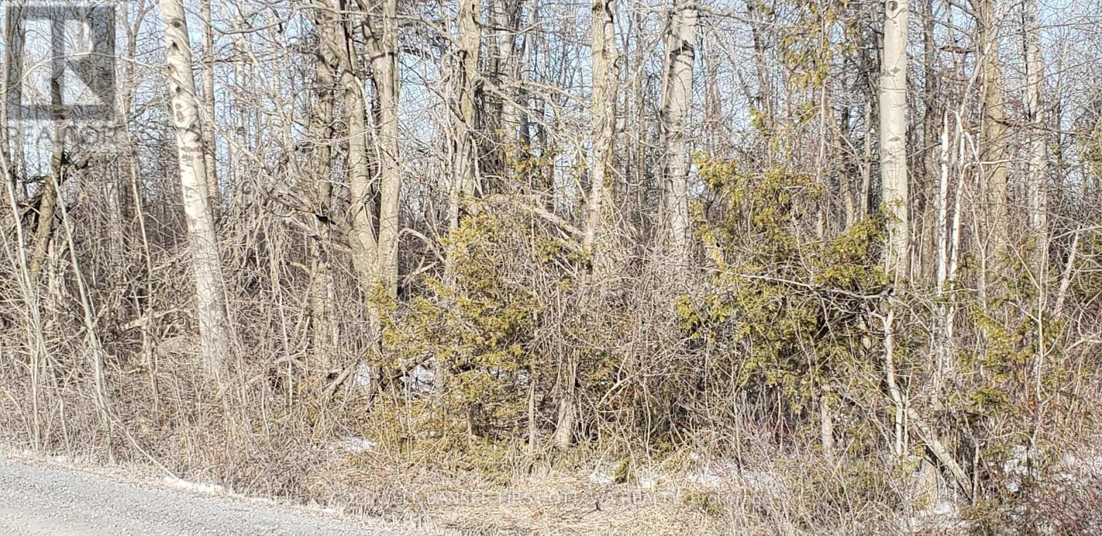 7500 Springhill Road, Ottawa, Ontario  K0A 2P0 - Photo 2 - X12066486