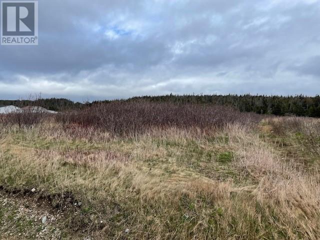 LOT 146 FRONT Road, PORT AU PORT WEST, Newfoundland & Labrador