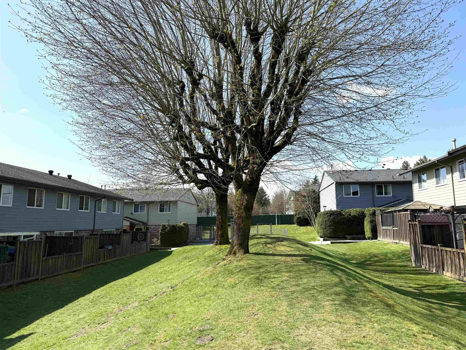 78 10760 Guildford Drive, Surrey, British Columbia  V3R 1W6 - Photo 23 - R2986151