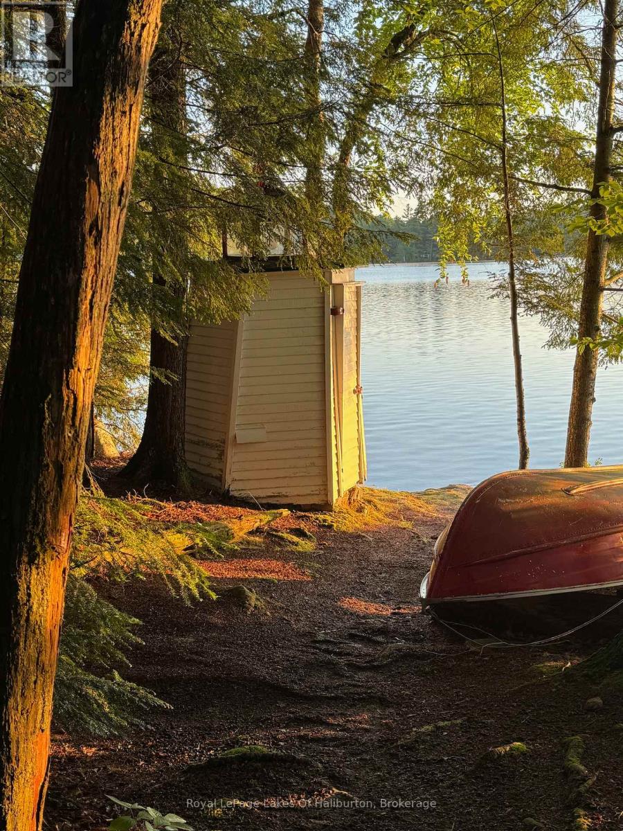 1017 Palace Drive, Dysart Et Al, Ontario  K0M 1S0 - Photo 10 - X12001433