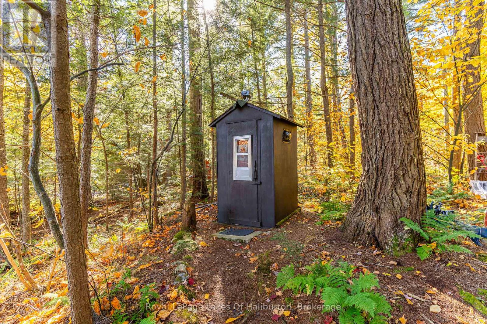 1017 Palace Drive, Dysart Et Al, Ontario  K0M 1S0 - Photo 24 - X12001433