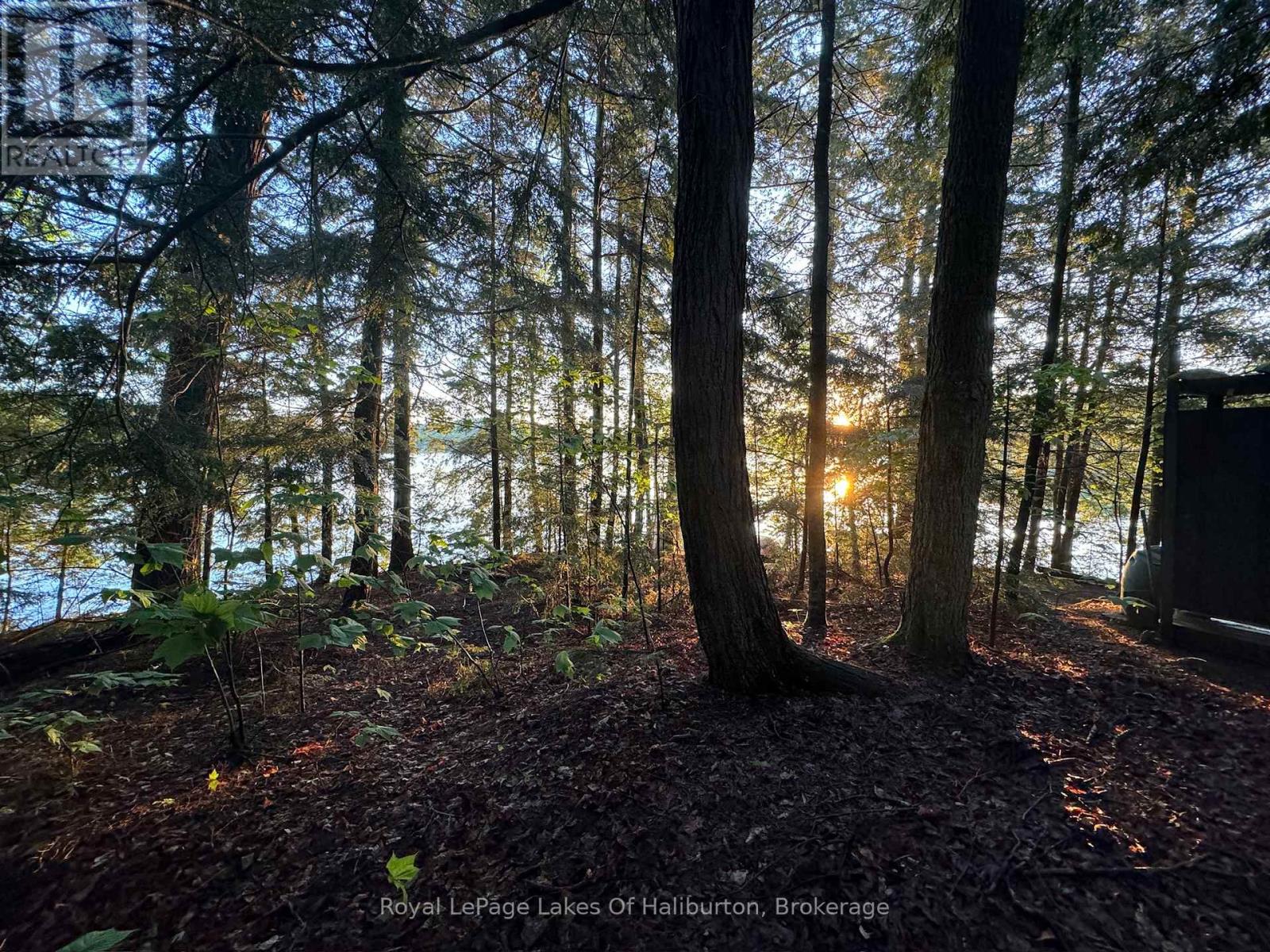 1017 Palace Drive, Dysart Et Al, Ontario  K0M 1S0 - Photo 26 - X12001433