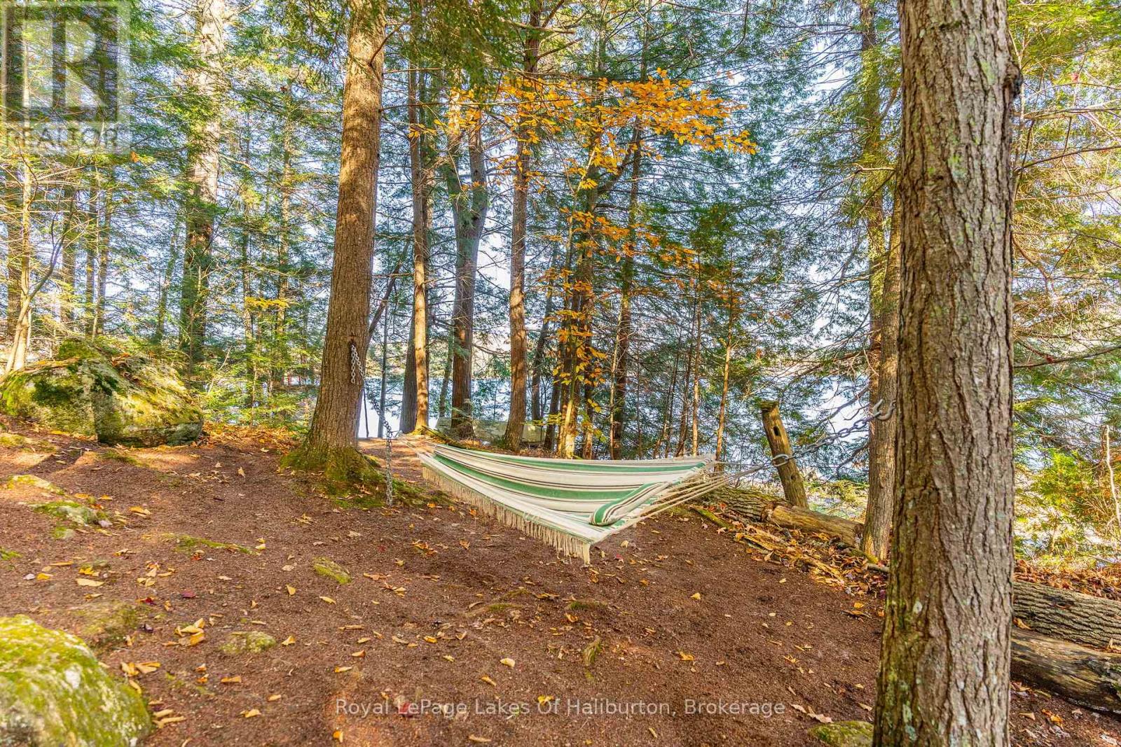 1017 Palace Drive, Dysart Et Al, Ontario  K0M 1S0 - Photo 29 - X12001433