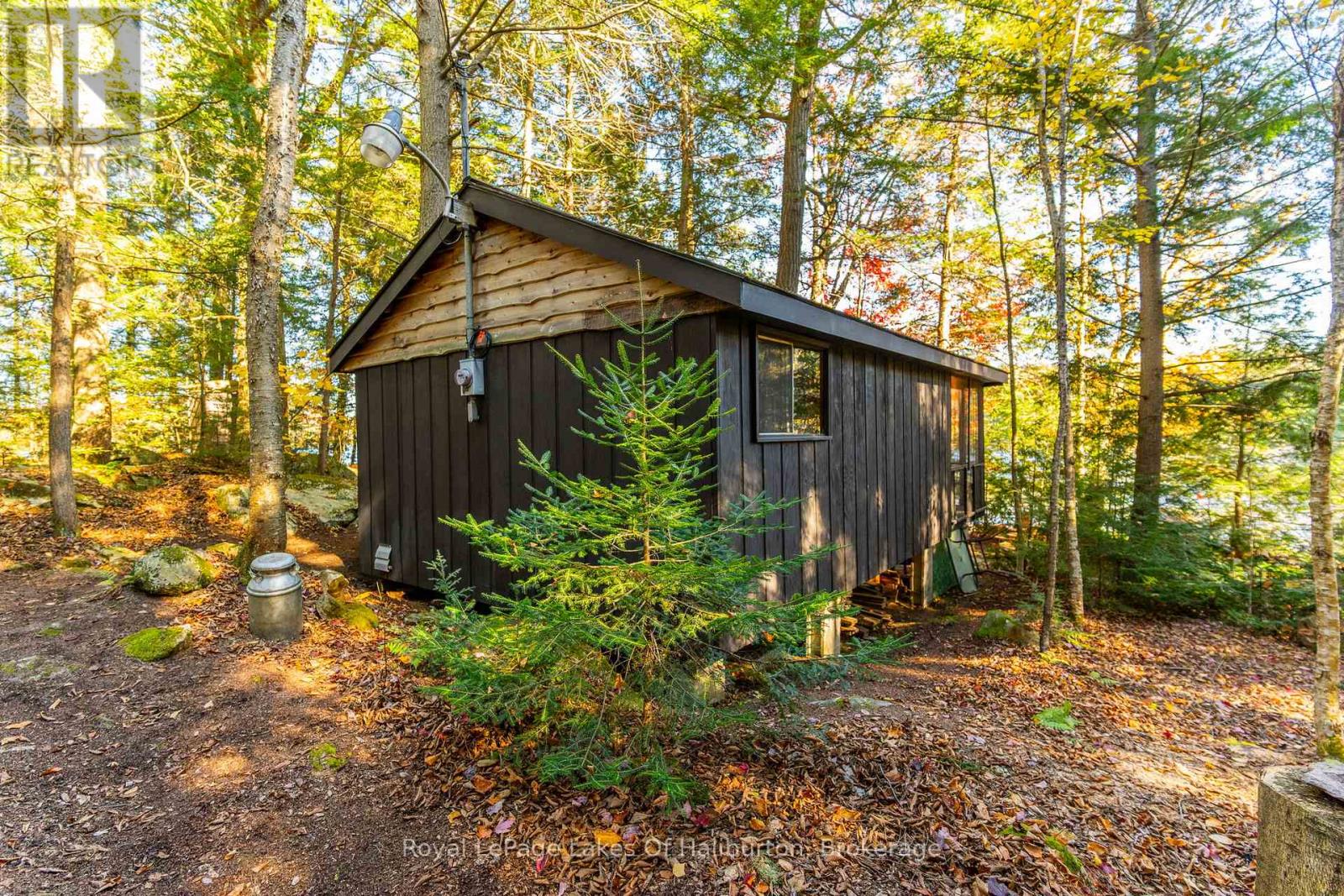 1017 Palace Drive, Dysart Et Al, Ontario  K0M 1S0 - Photo 30 - X12001433