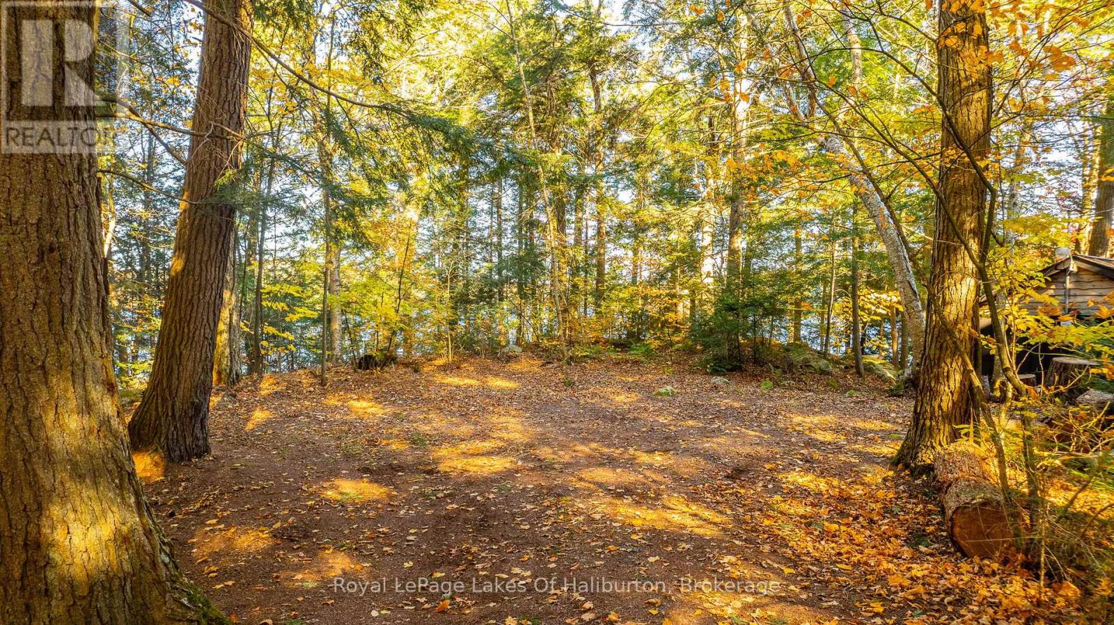 1017 Palace Drive, Dysart Et Al, Ontario  K0M 1S0 - Photo 33 - X12001433