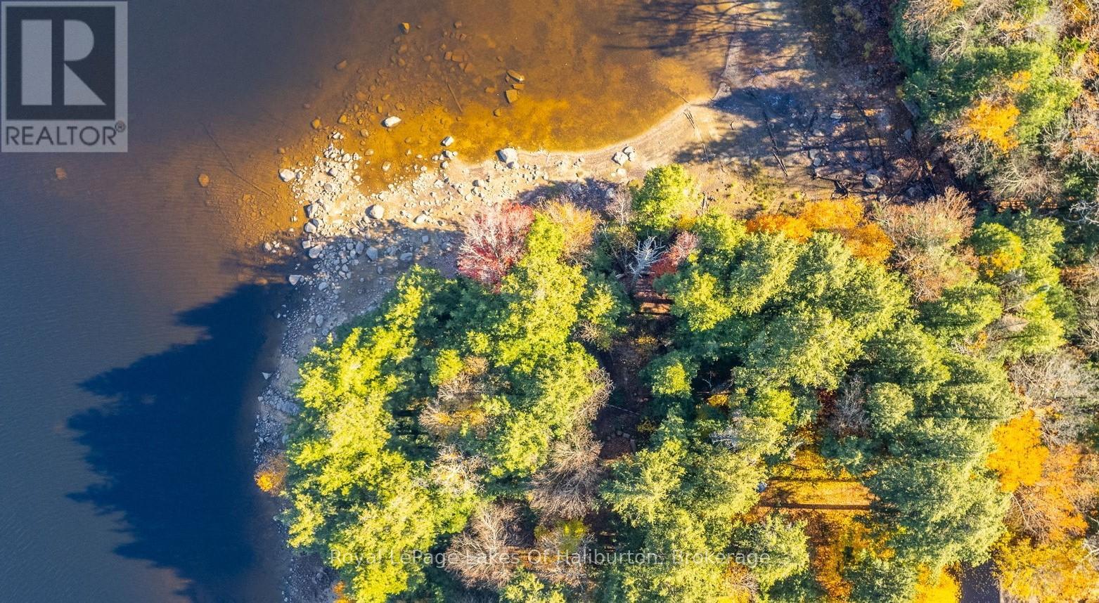 1017 Palace Drive, Dysart Et Al, Ontario  K0M 1S0 - Photo 39 - X12001433