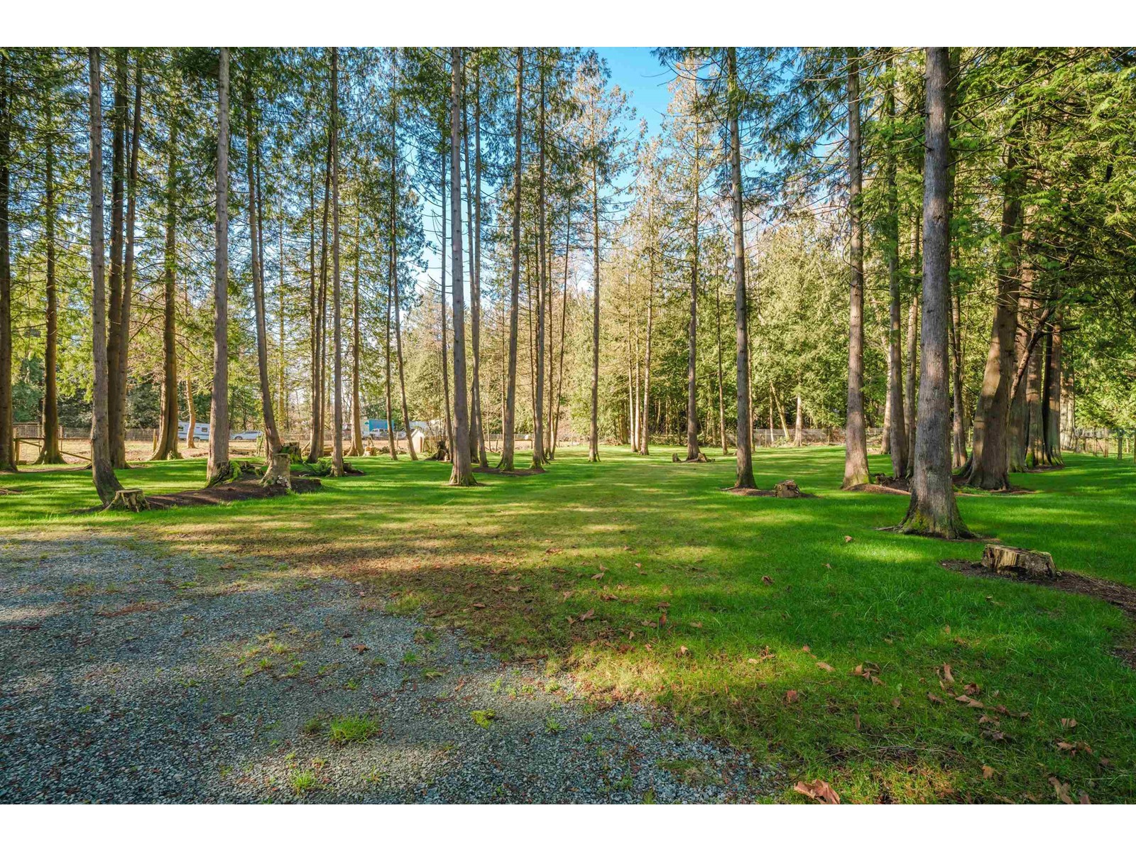 3955 248 Street, Langley, British Columbia  V4W 2B3 - Photo 2 - R2975305