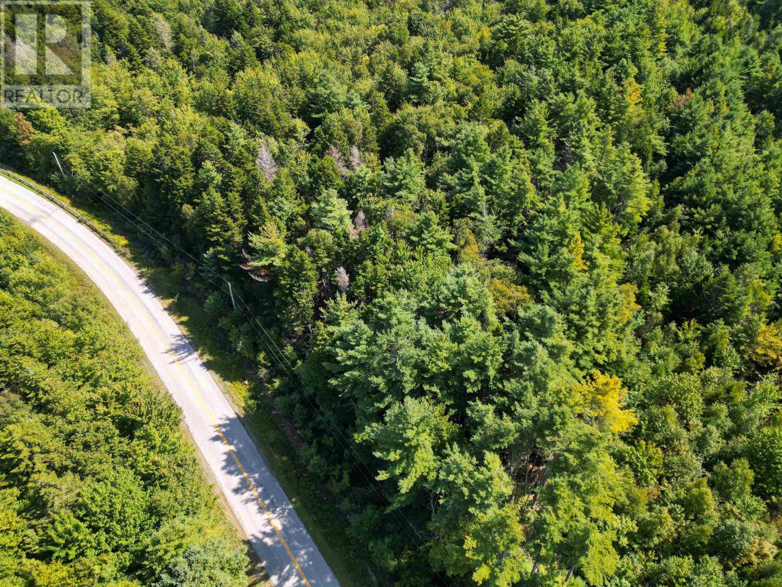 Lots Thibault Road, St. Joseph, Nova Scotia  B0W 1M0 - Photo 4 - 202507060